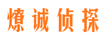 和平区市调查公司